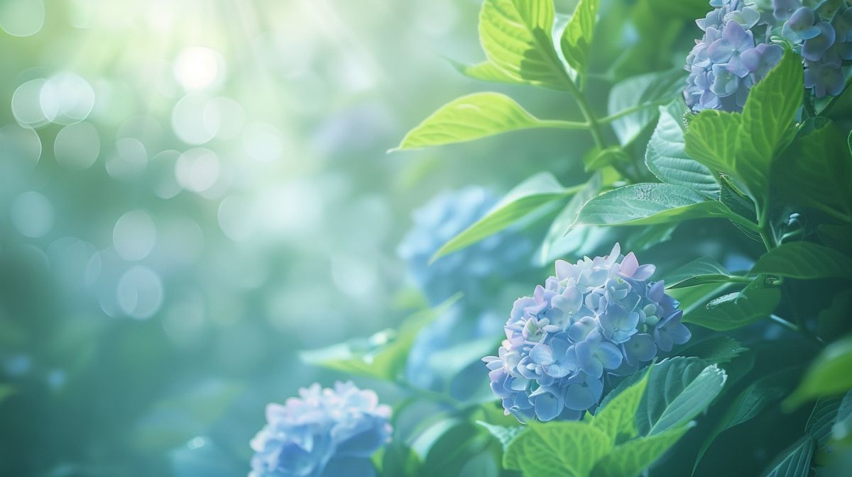 心理師陪你走一段內在旅程